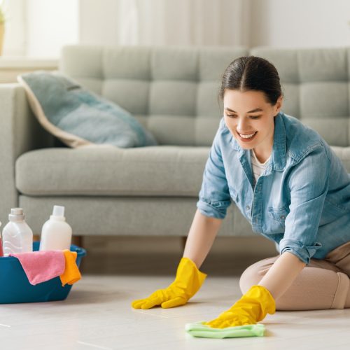 woman-doing-cleaning-the-house-.jpg